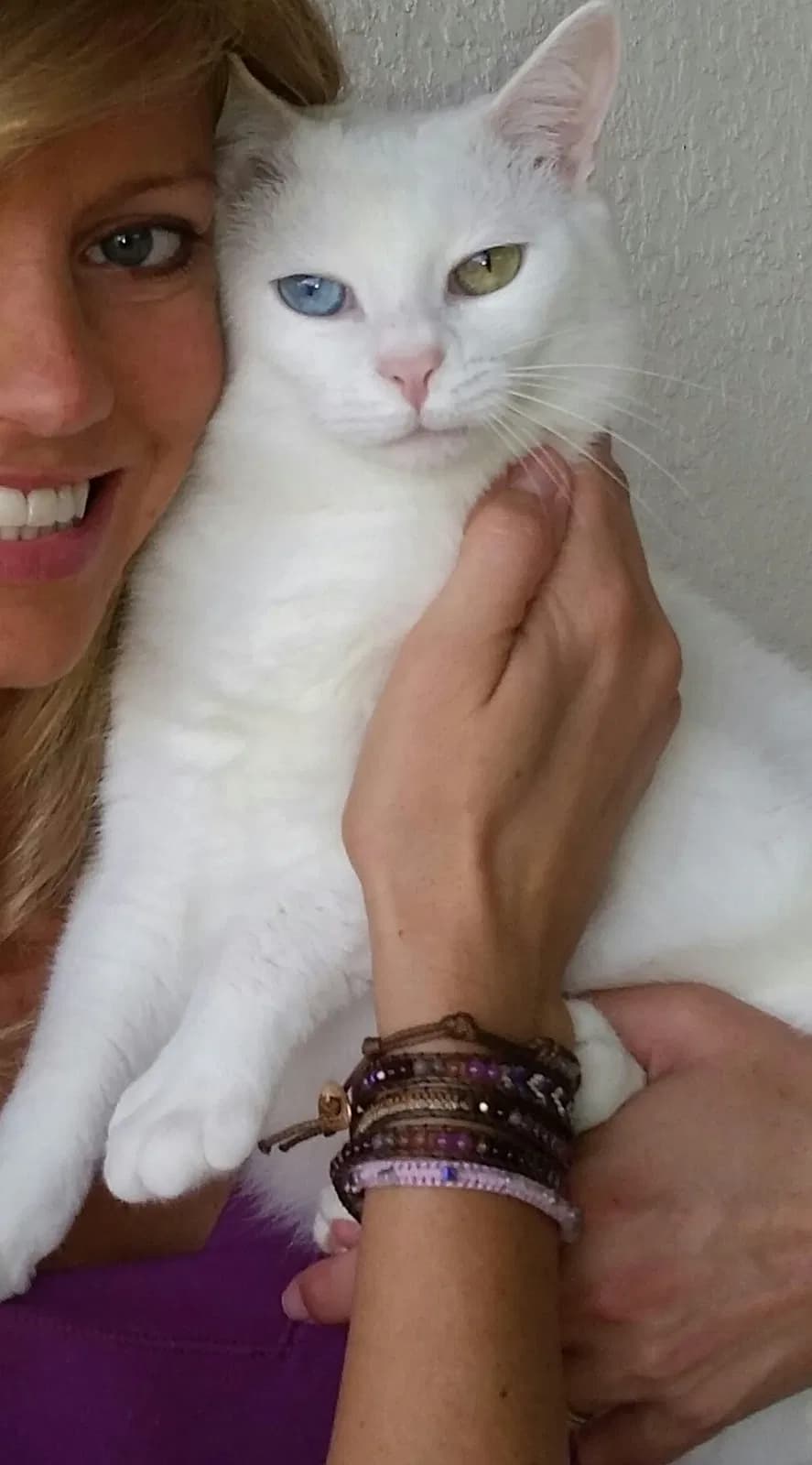Snowball, back home in Florida