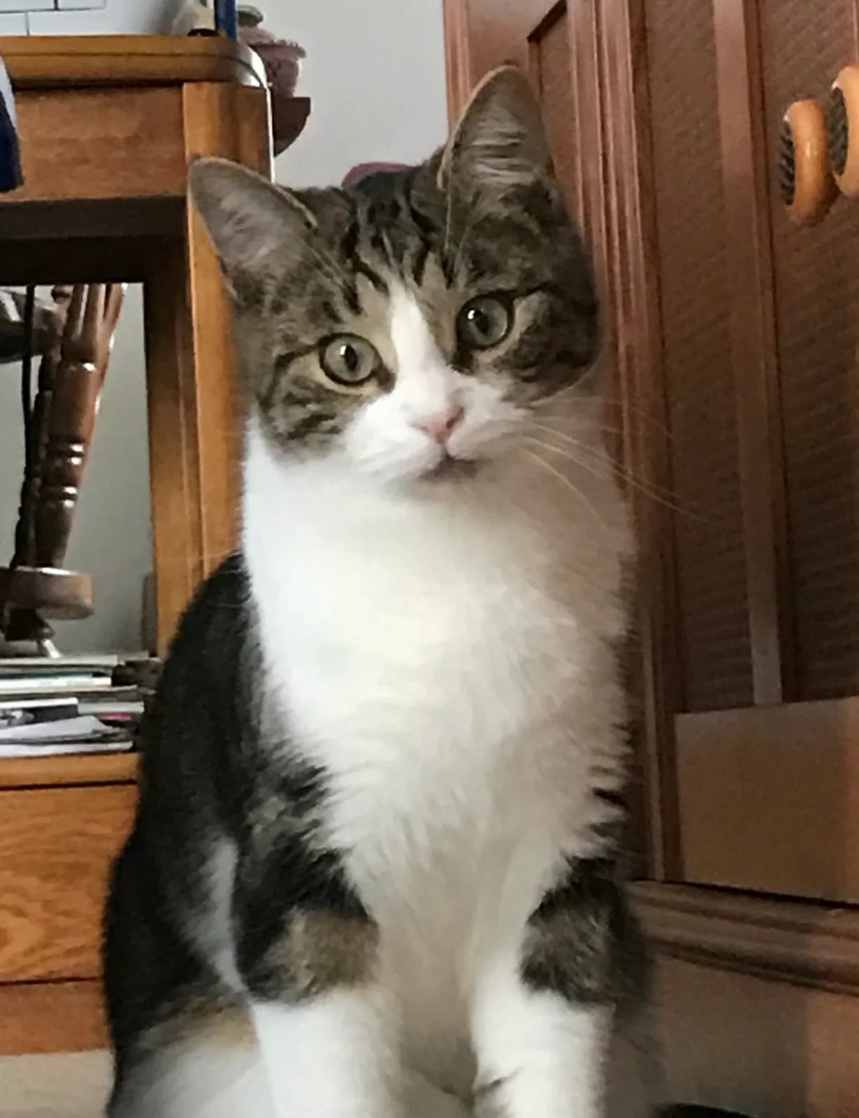 Oli, back home in Pennsylvania