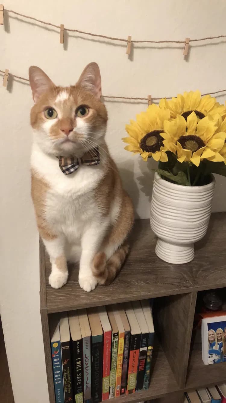 Vince, back home in South Carolina