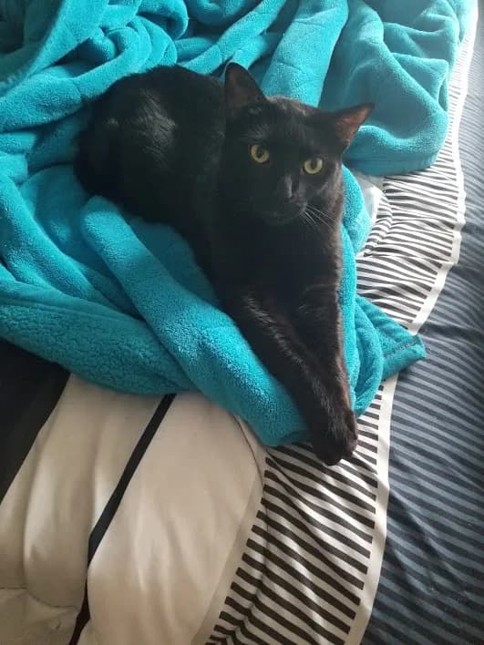 Negra (goes by Priet, back home in Texas