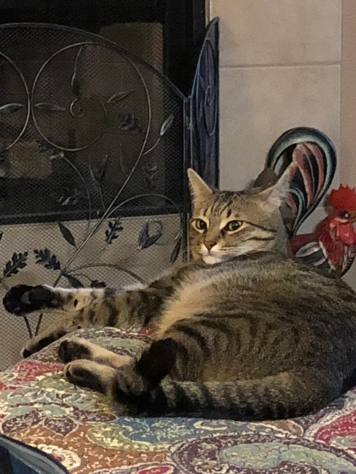 “Jax”, Jaxxy, Ja, back home in Texas
