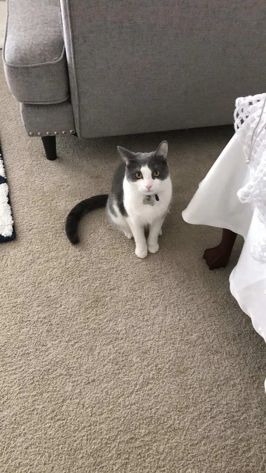 Santos, back home in Ohio