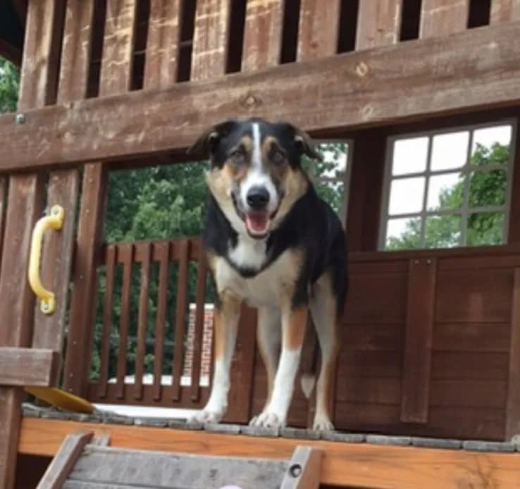 Drake, back home in Pennsylvania