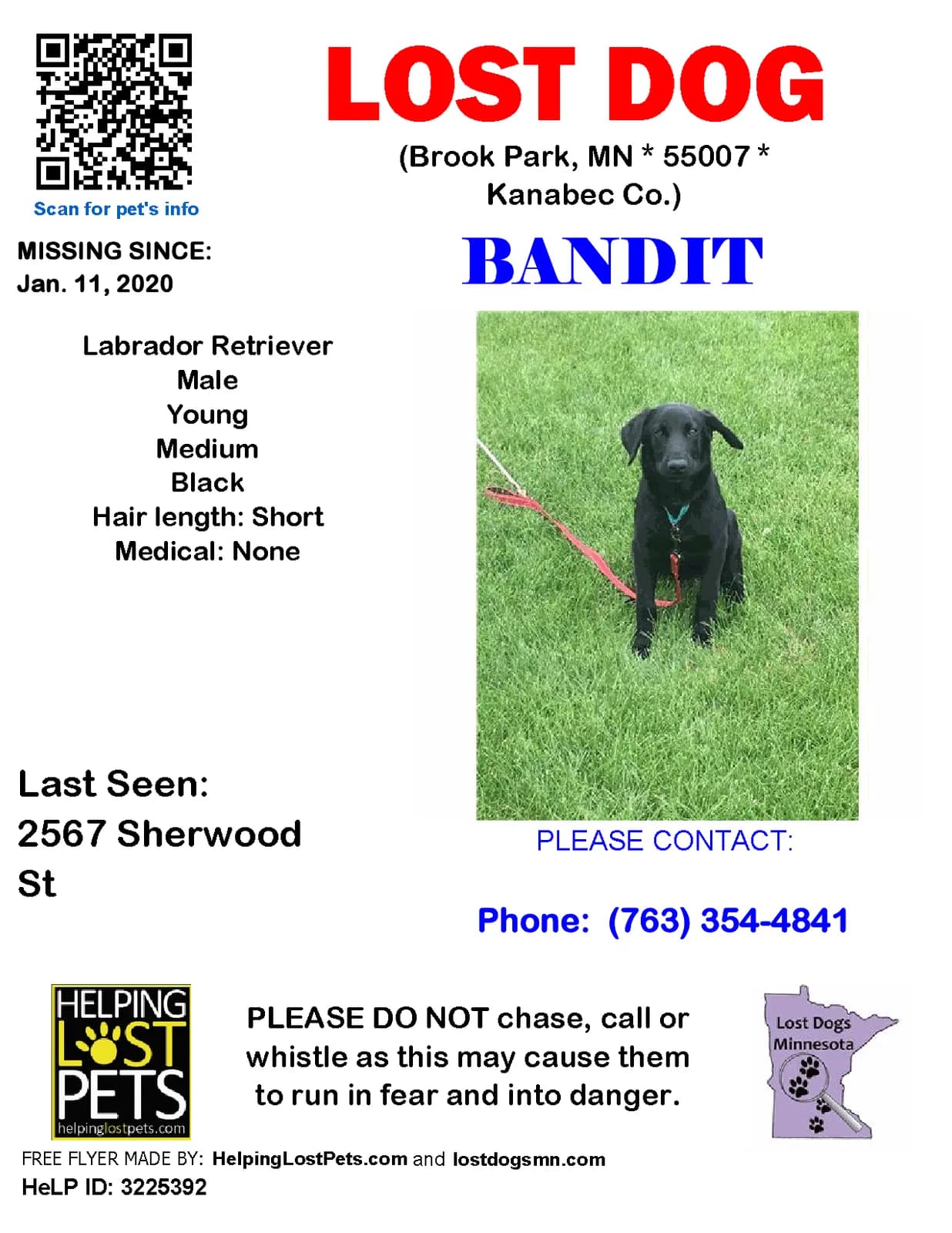 Bandit, back home in Minnesota