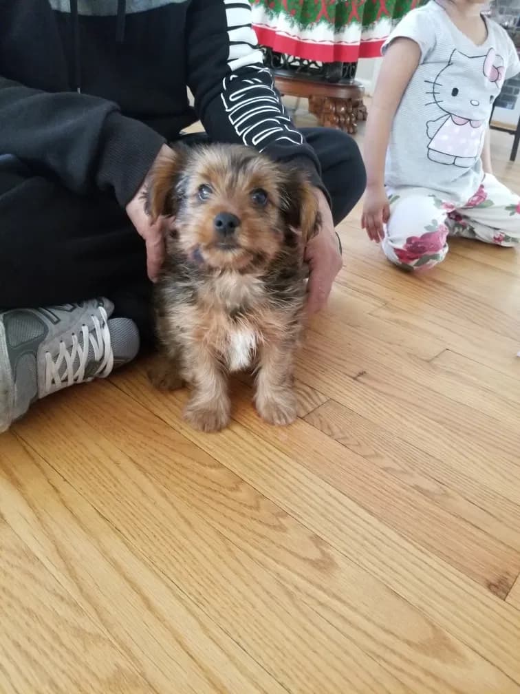 Bree, back home in Maryland