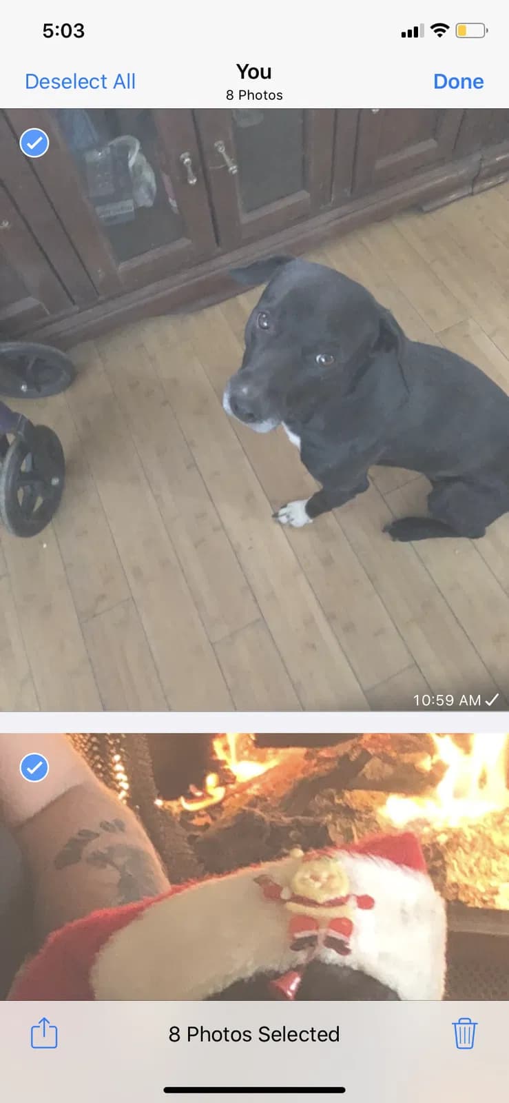 Chavo, back home in California