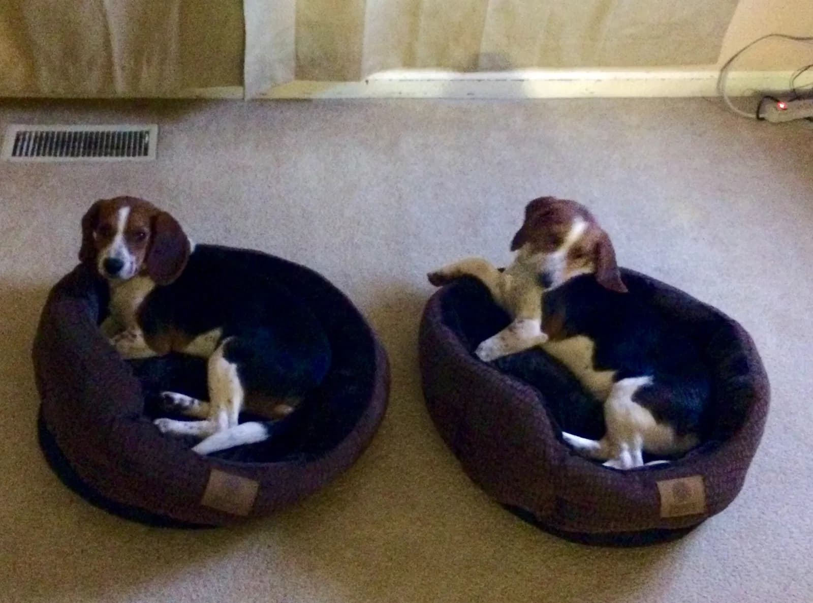 Conway and Vern, back home in South Carolina