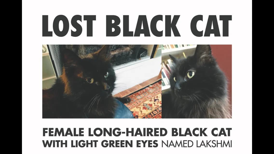 Lakshmi, back home in Michigan