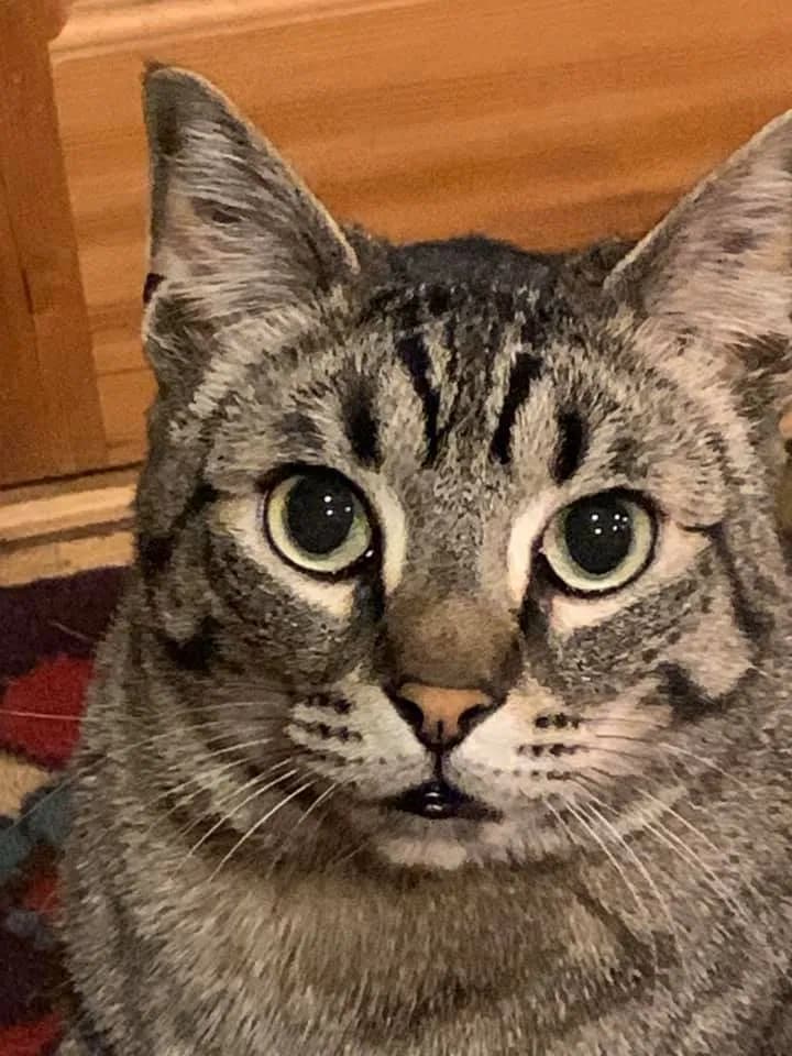 Dwayne, back home in Washington