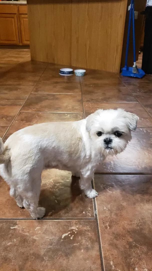 Sophia, back home in Texas