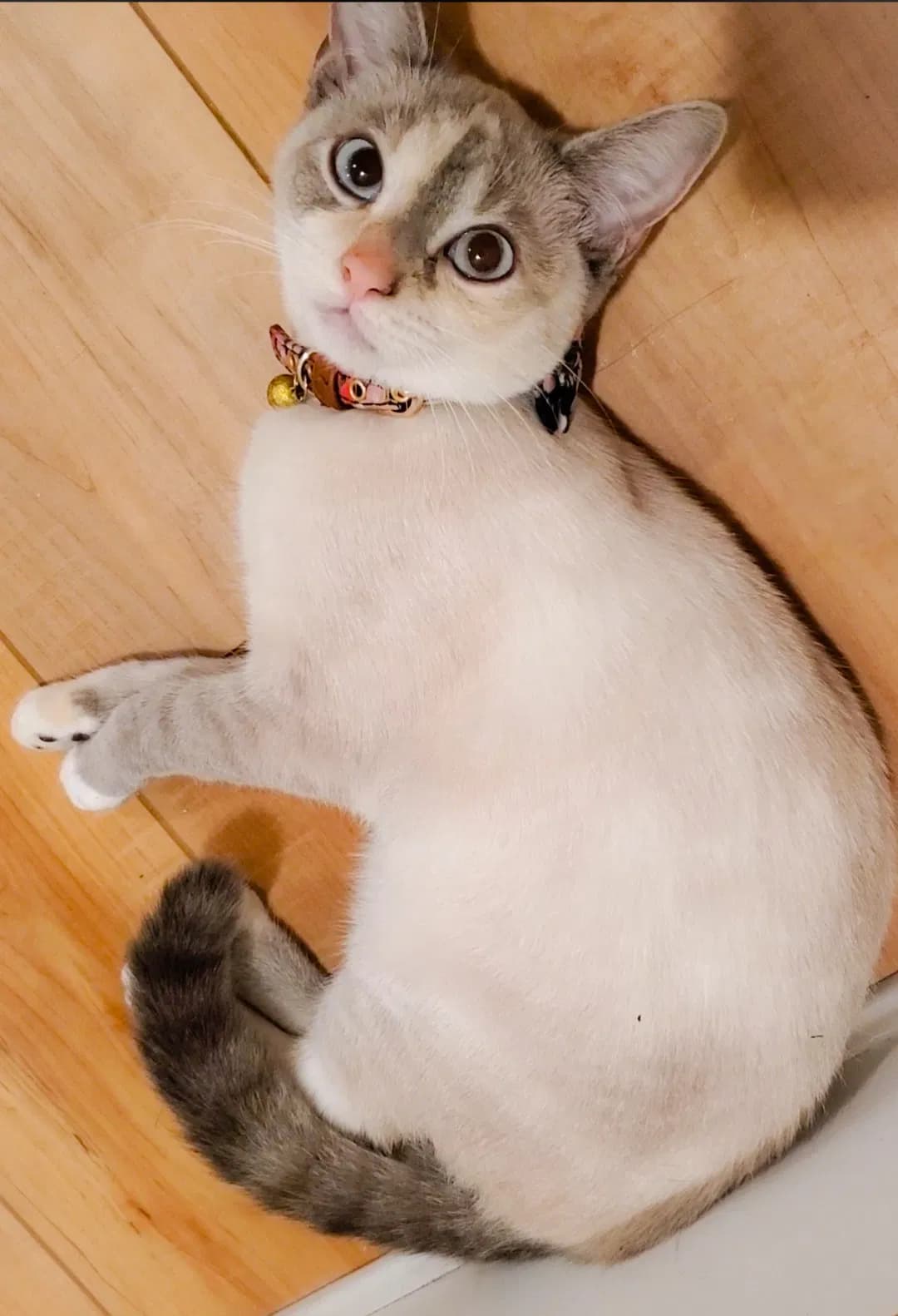 Winry, back home in Pennsylvania