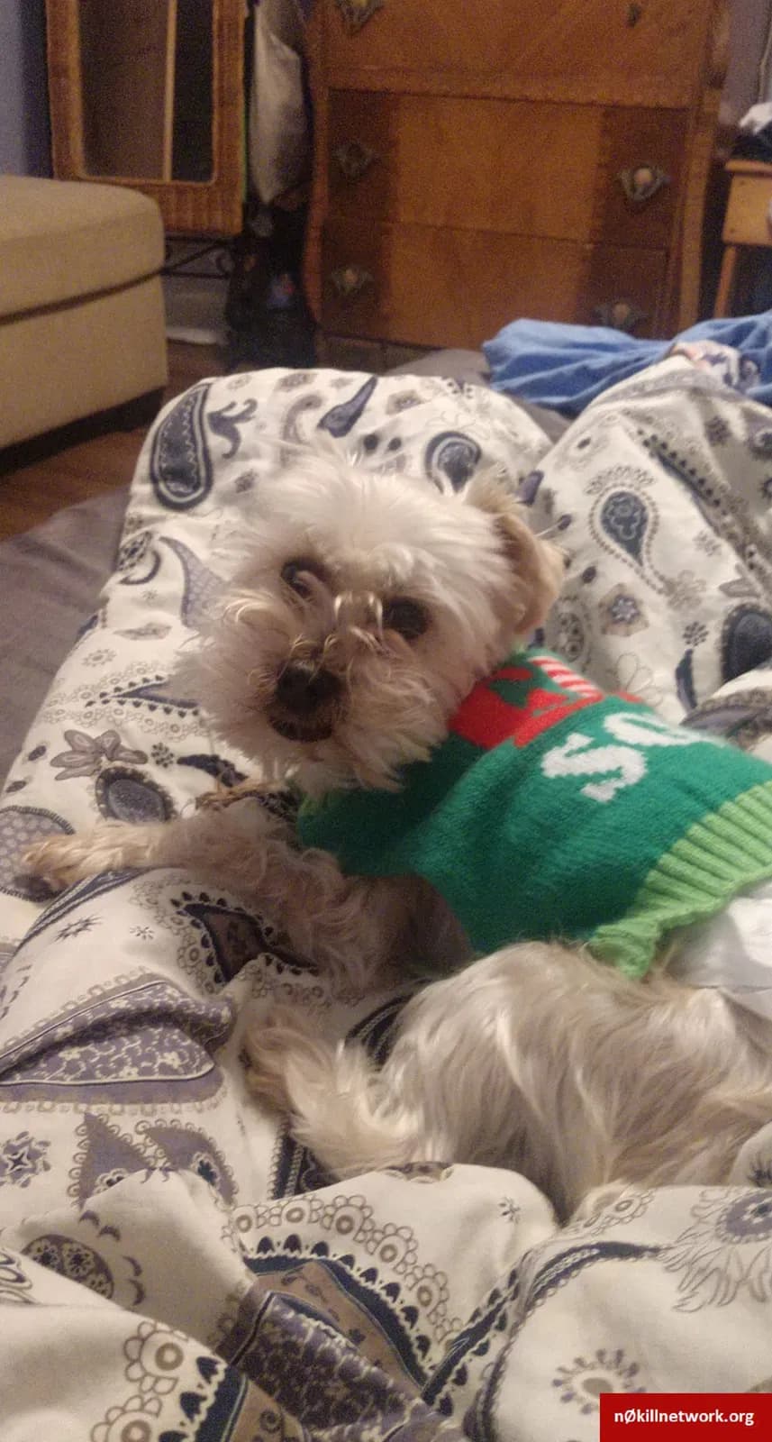Brody, back home in Ohio
