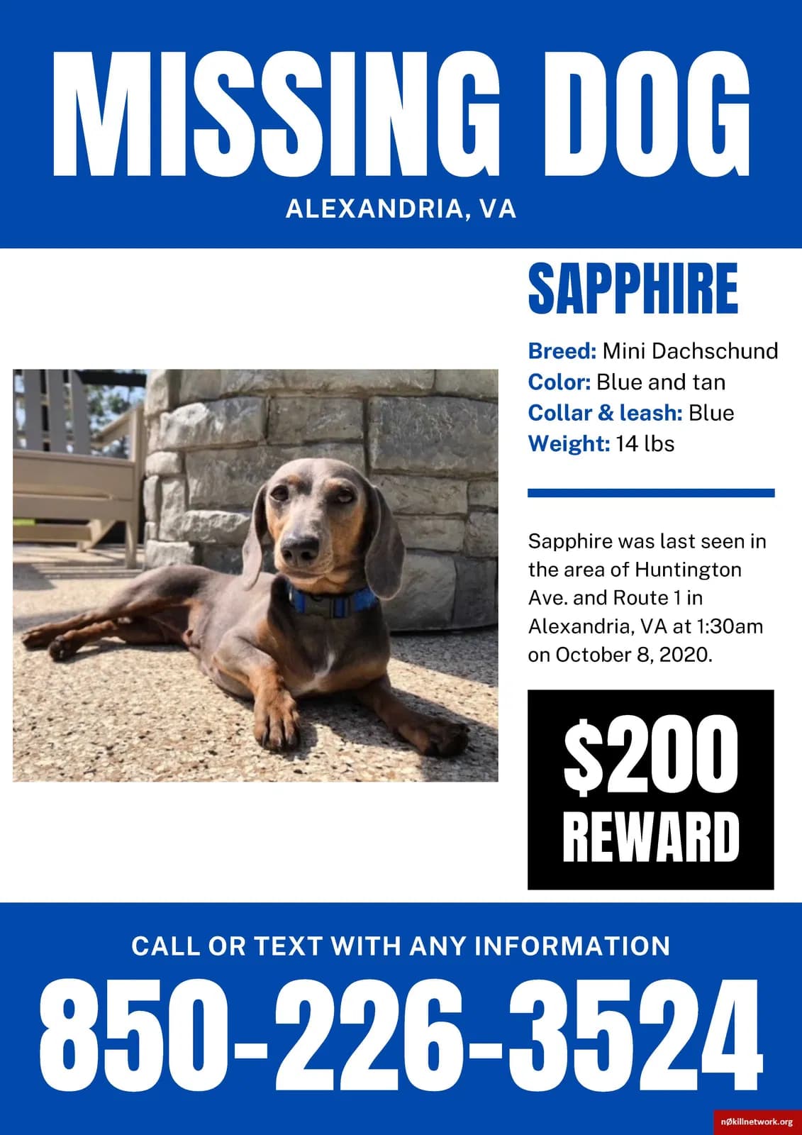 Sapphire, back home in Virginia