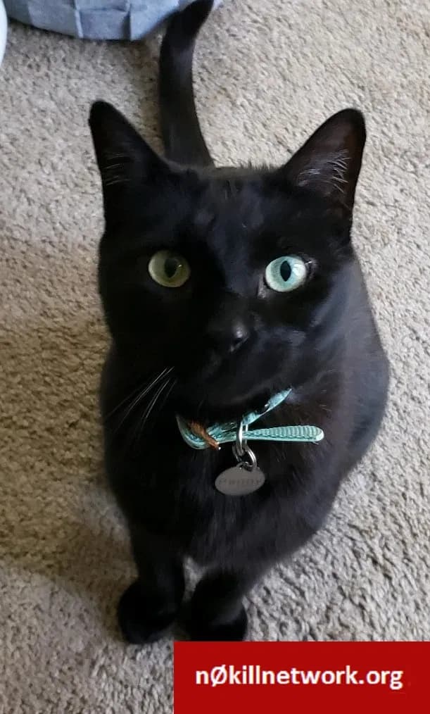 Penny, back home in Maryland
