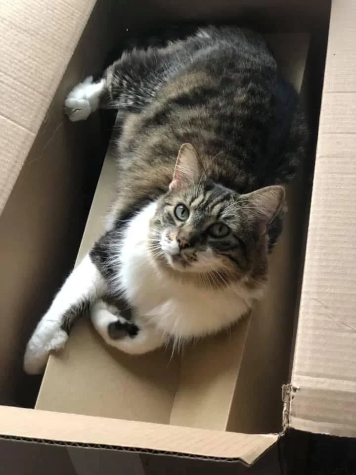 Tarzan, back home in Wisconsin