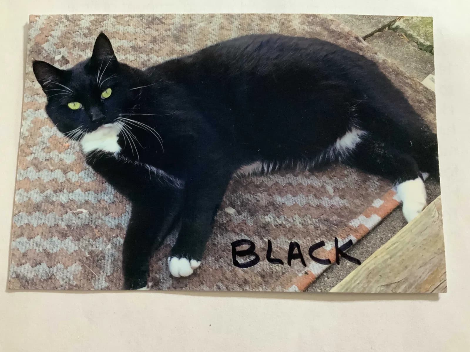 Black, back home in Indiana
