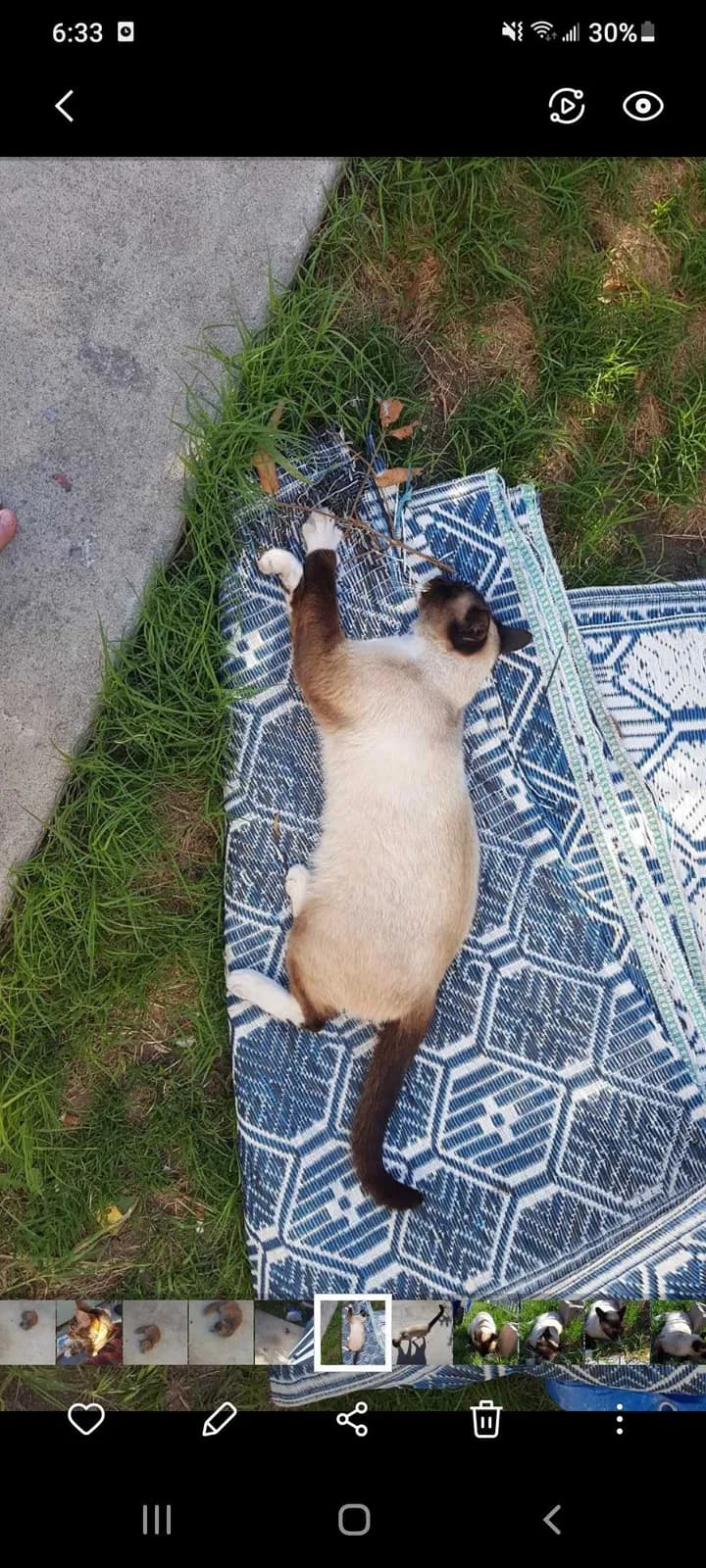 Lala, back home in California