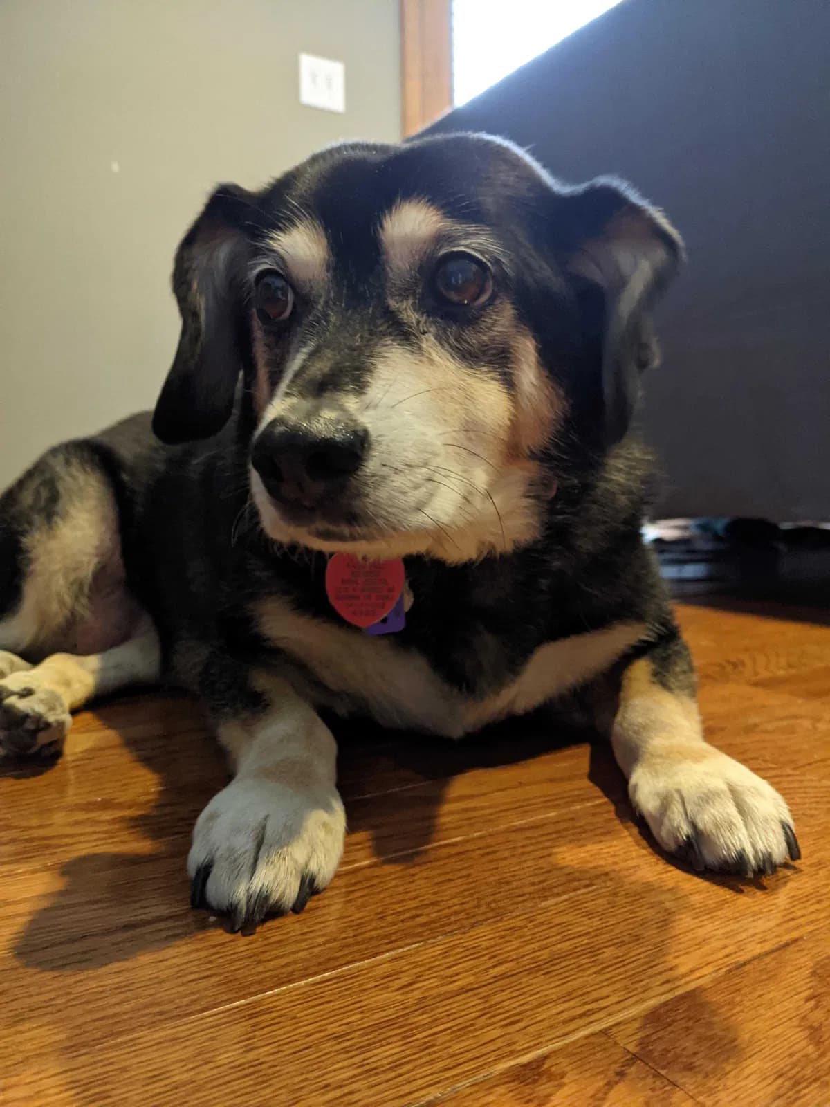 Nikki, back home in Pennsylvania