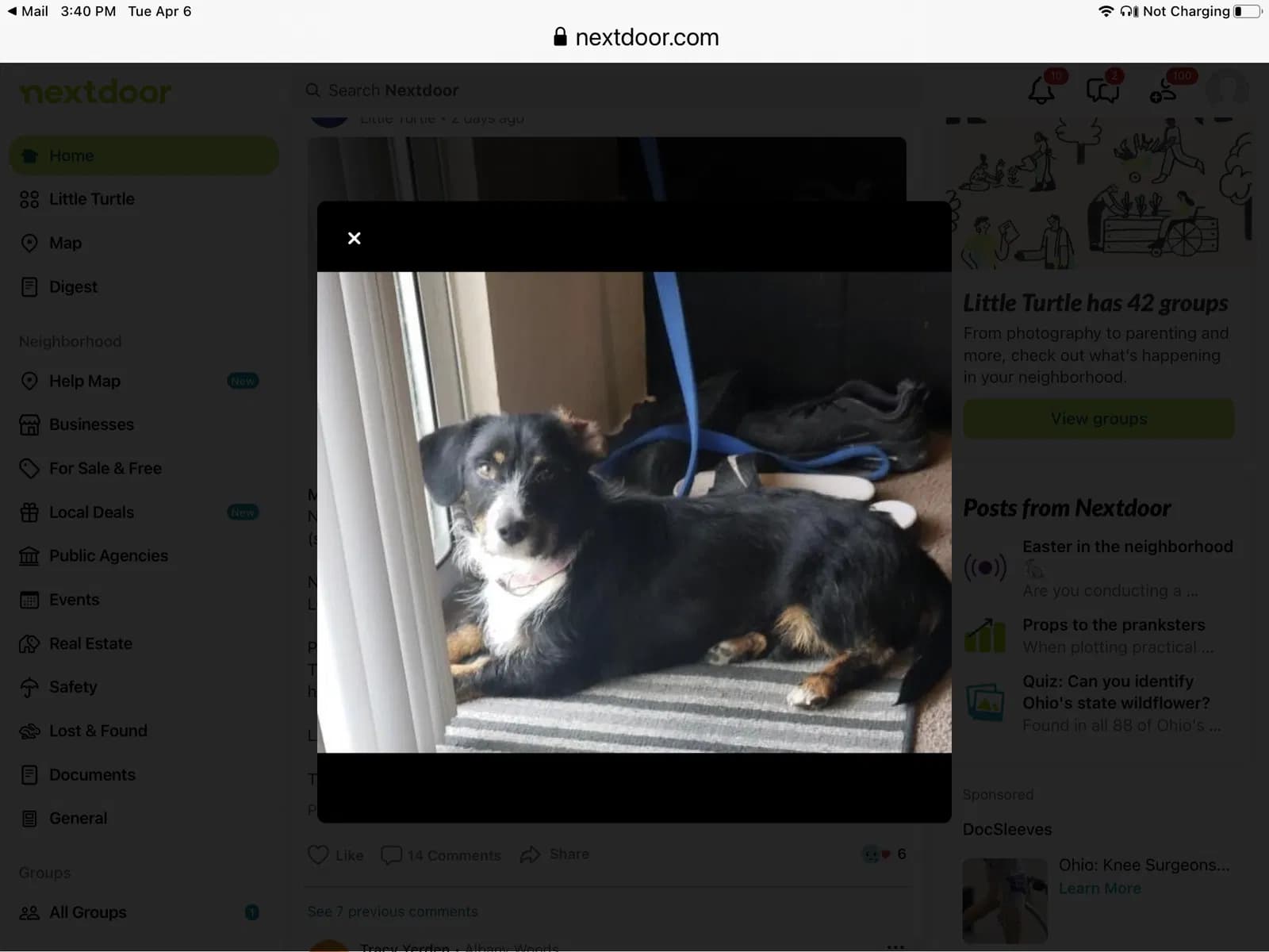 Puppers but new resc, back home in Ohio