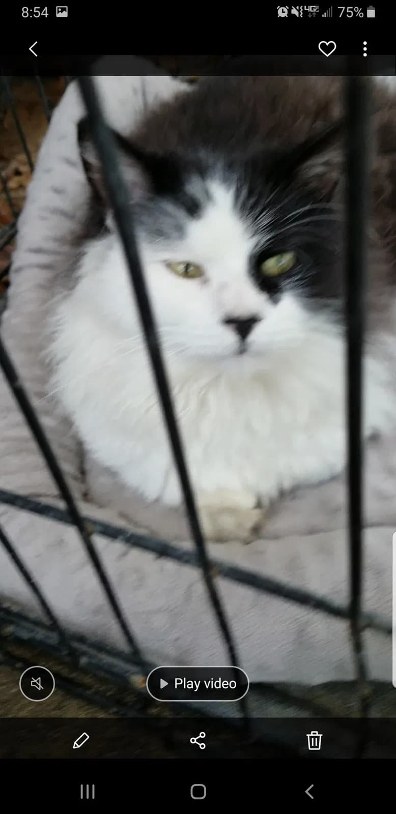 Sammie, back home in Florida