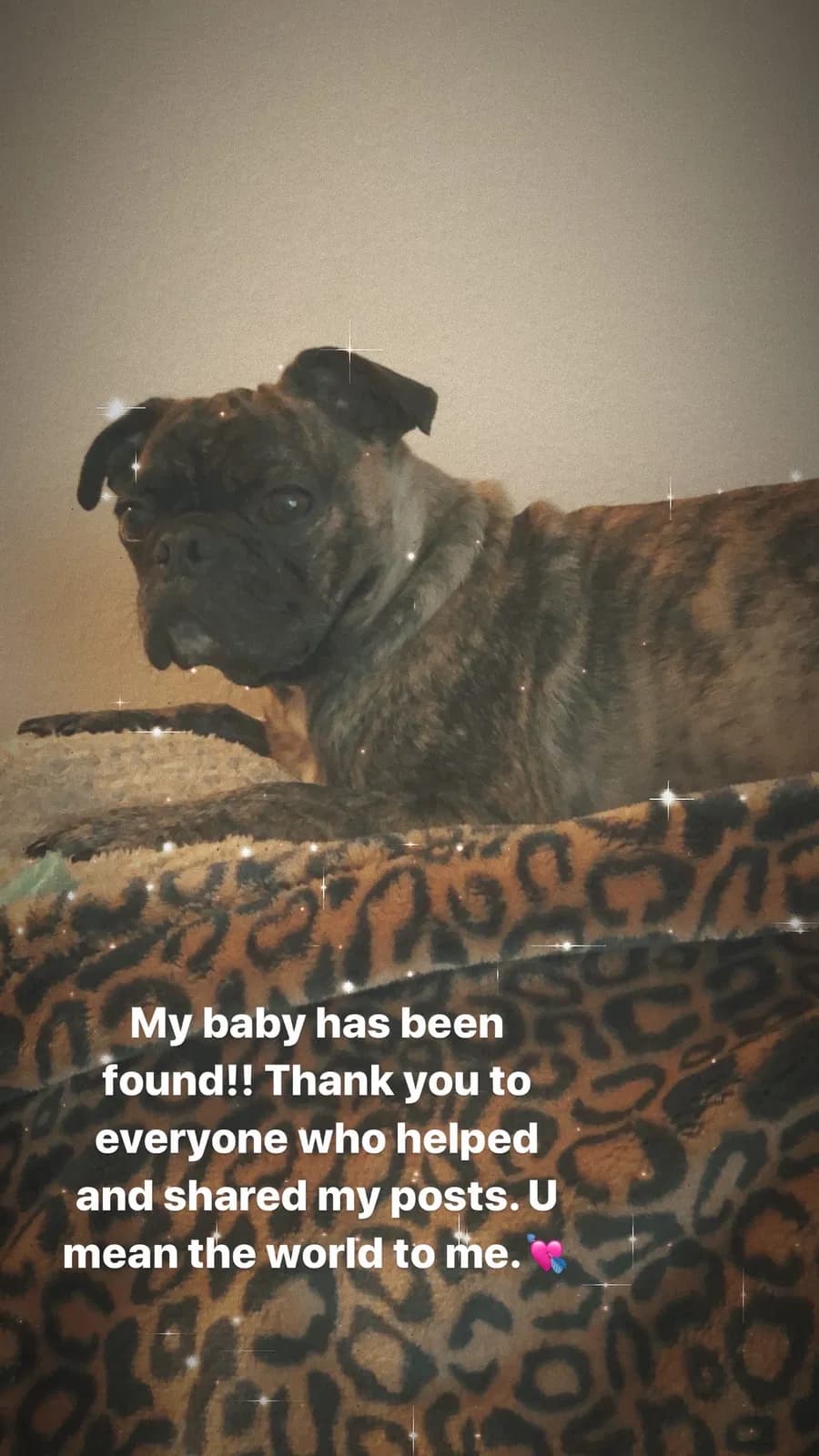 marlee, back home in Oregon