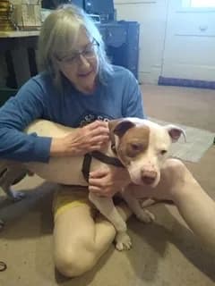 Bullet, back home in South Carolina