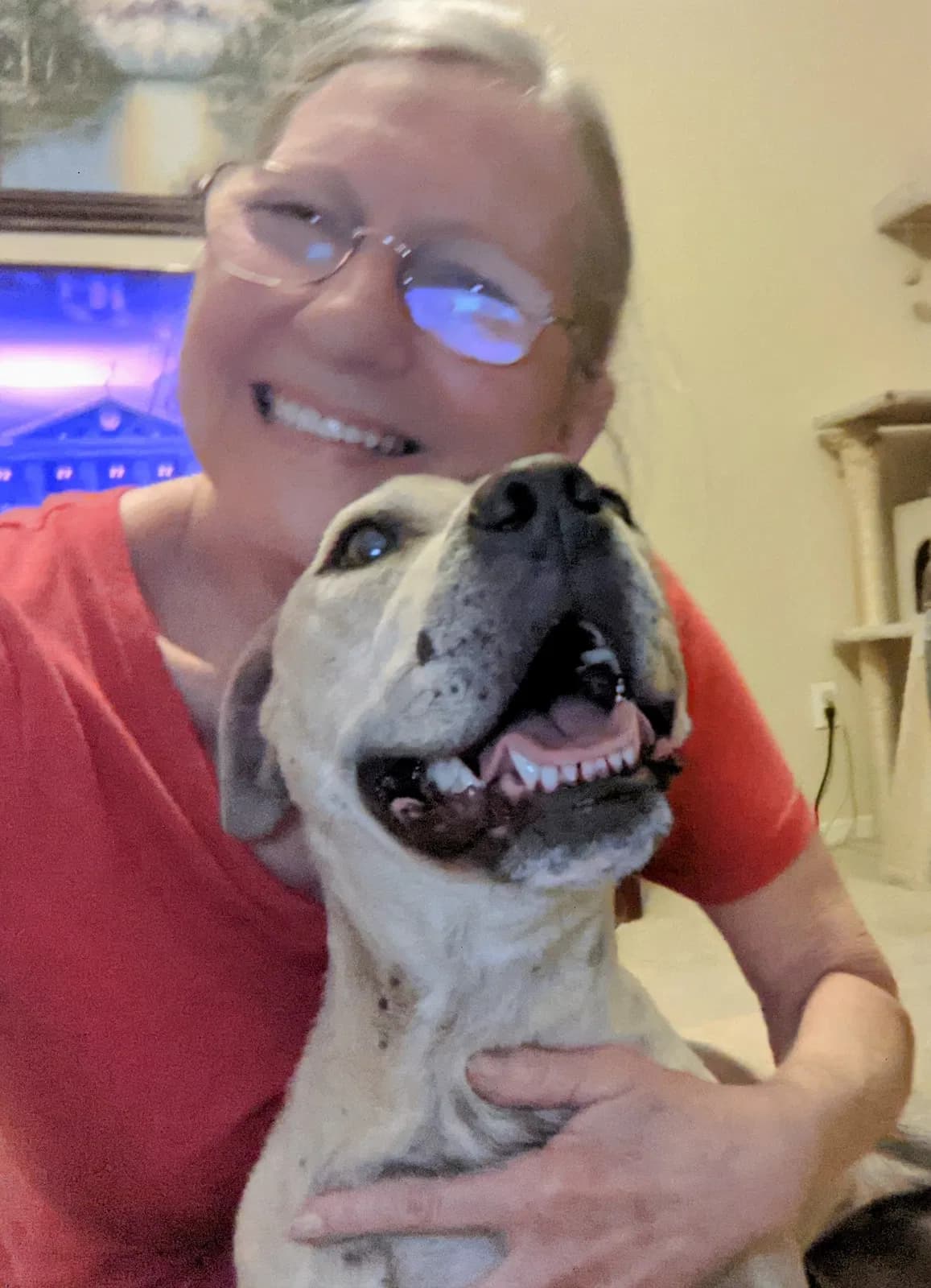 Honey, back home in Florida