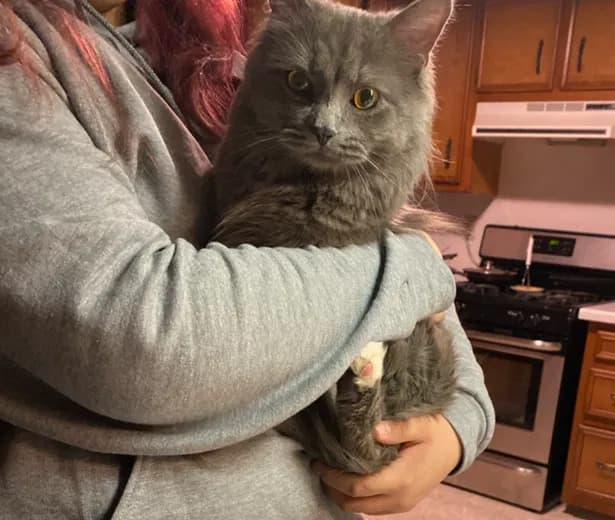 Michi, back home in Wisconsin