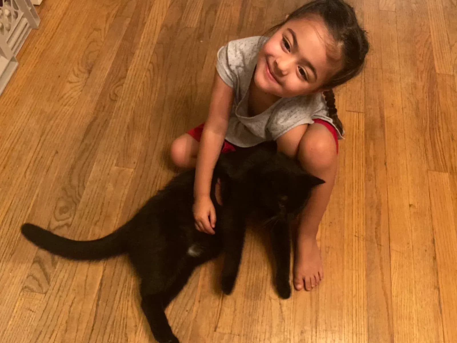 Bagheera, back home in Ohio