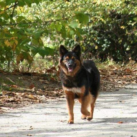 Beau, back home in South Carolina