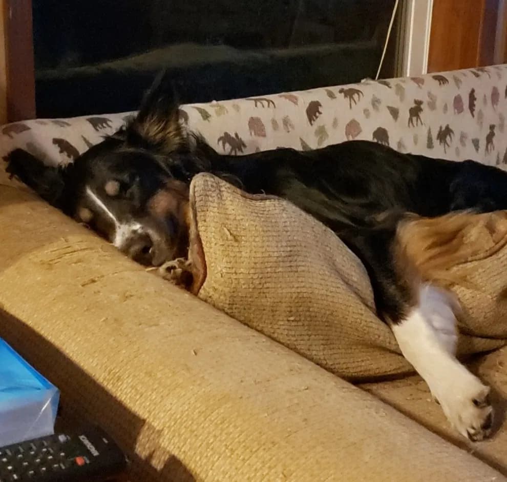 Suzzy, back home in Columbus, NY NY