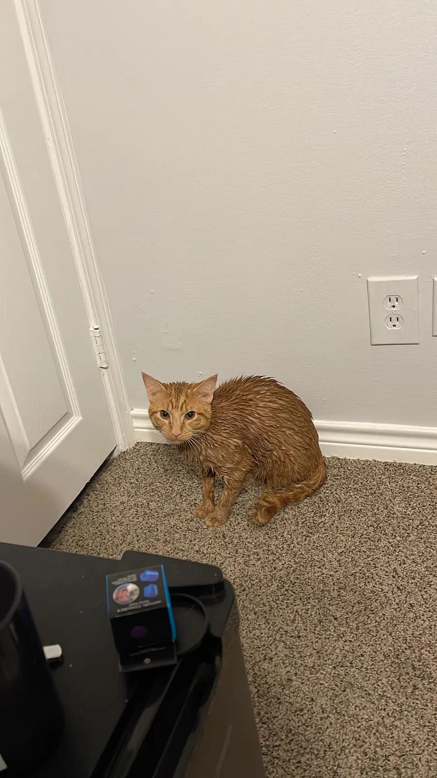 Sir, back home in Texas