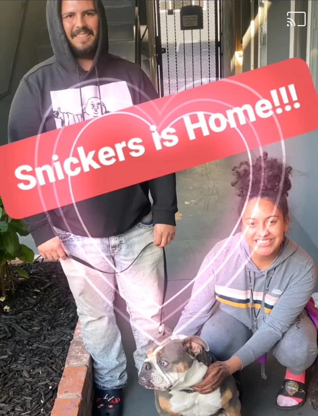 Snickers, back home in California
