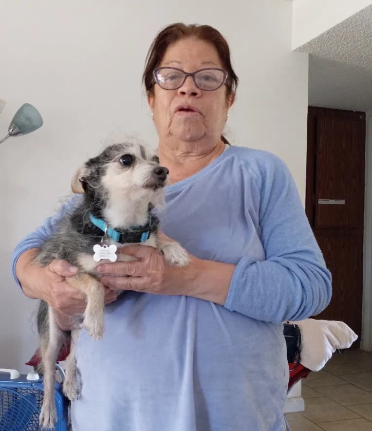 Pulgoso, back home in California