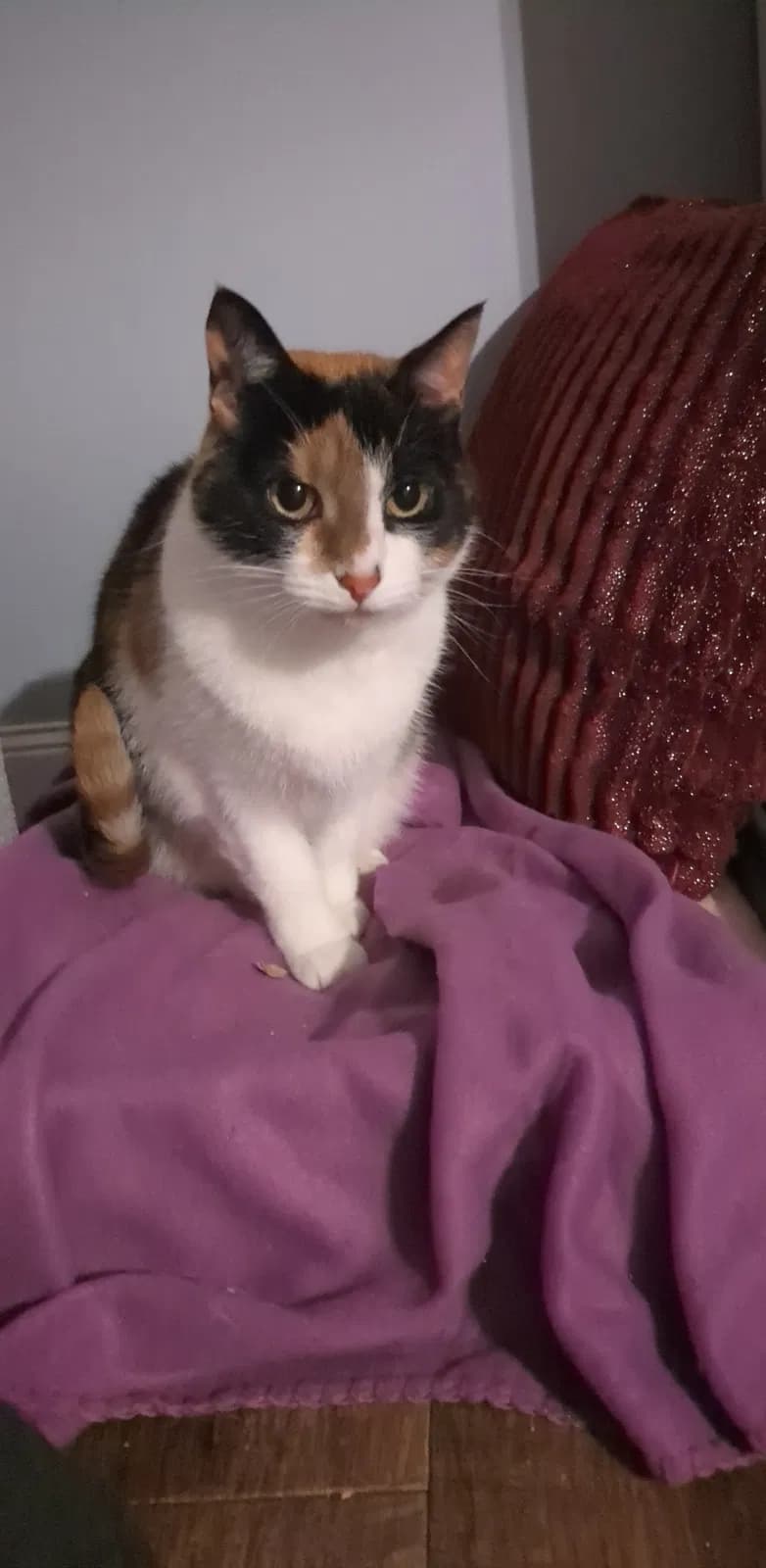 Marie Laveau, back home in Indiana