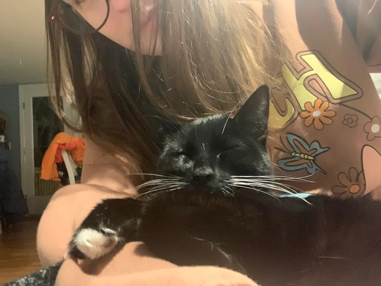 Jiji, back home in Massachusetts
