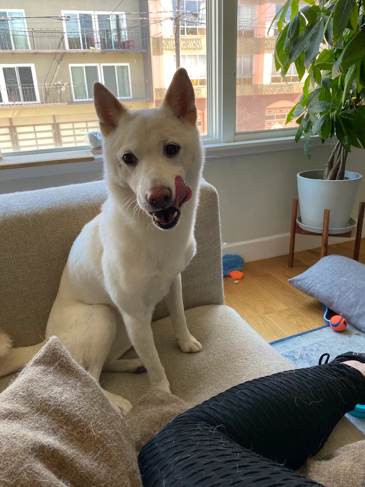 Kimiko (Kim), back home in California