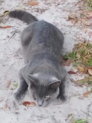 Hootie, back home in Florida