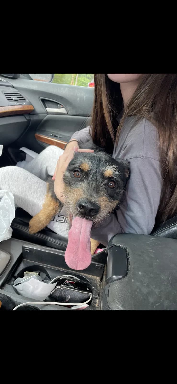 Lola Mae, back home in North Carolina