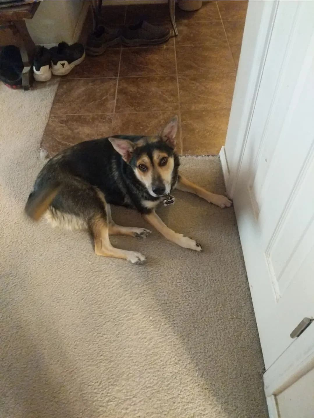 Ahsoka, back home in Texas