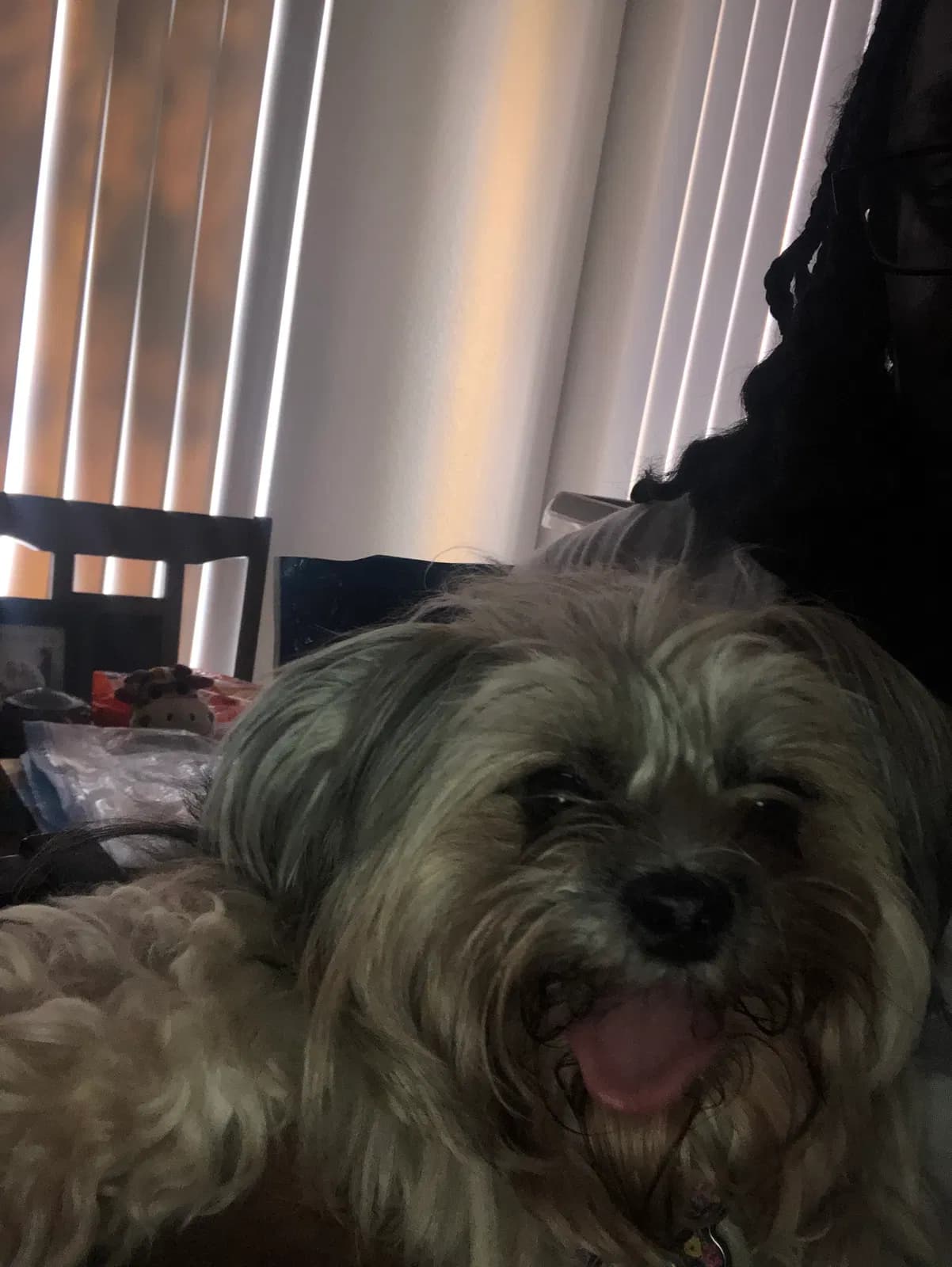 Naomi, back home in Nevada