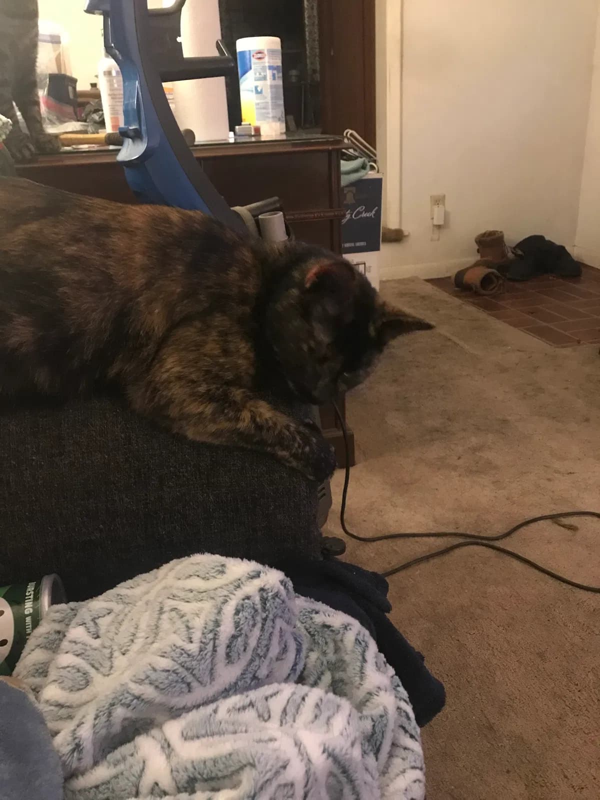 Lily, back home in Arkansas