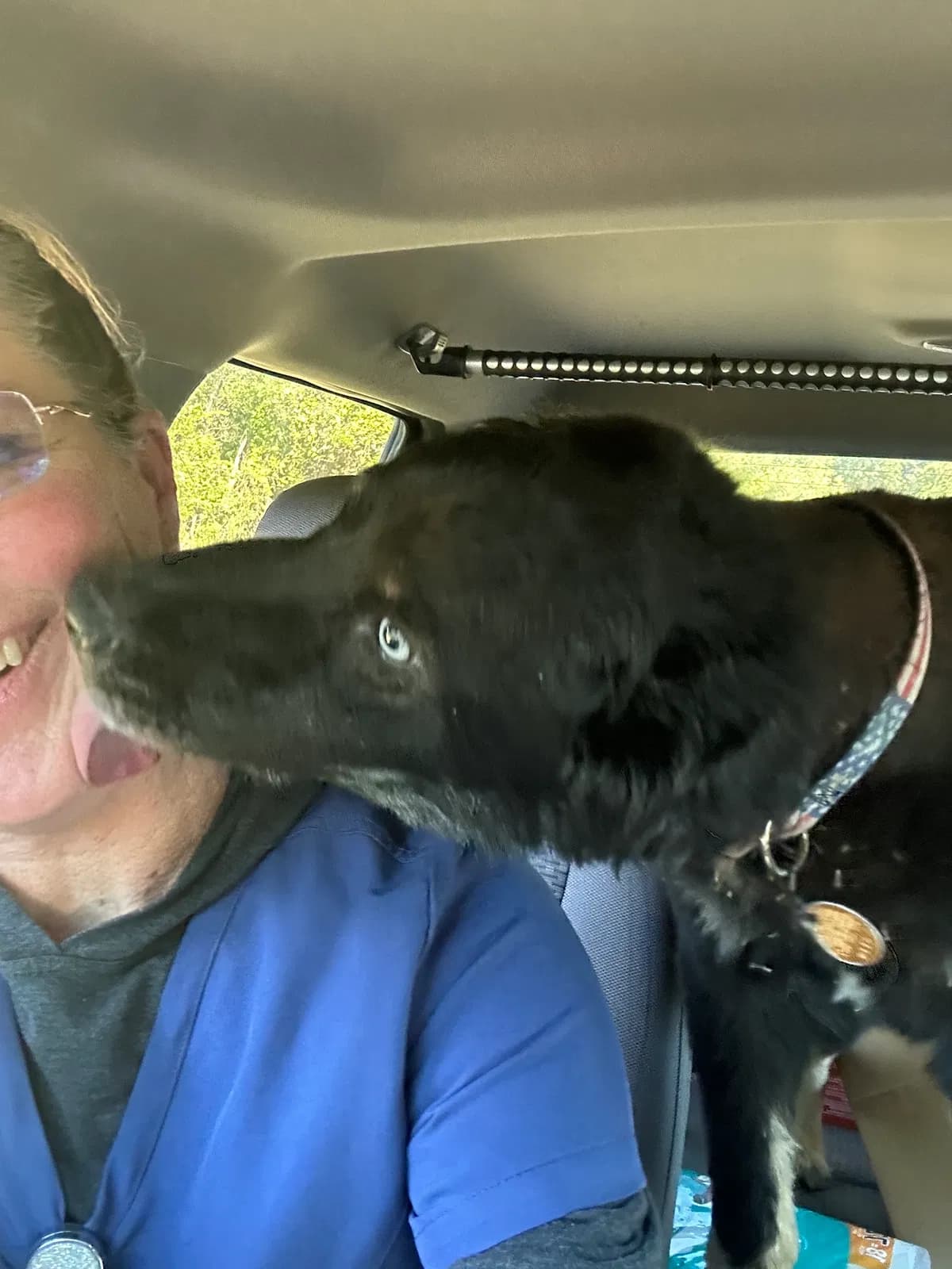 Jingo, back home in Texas