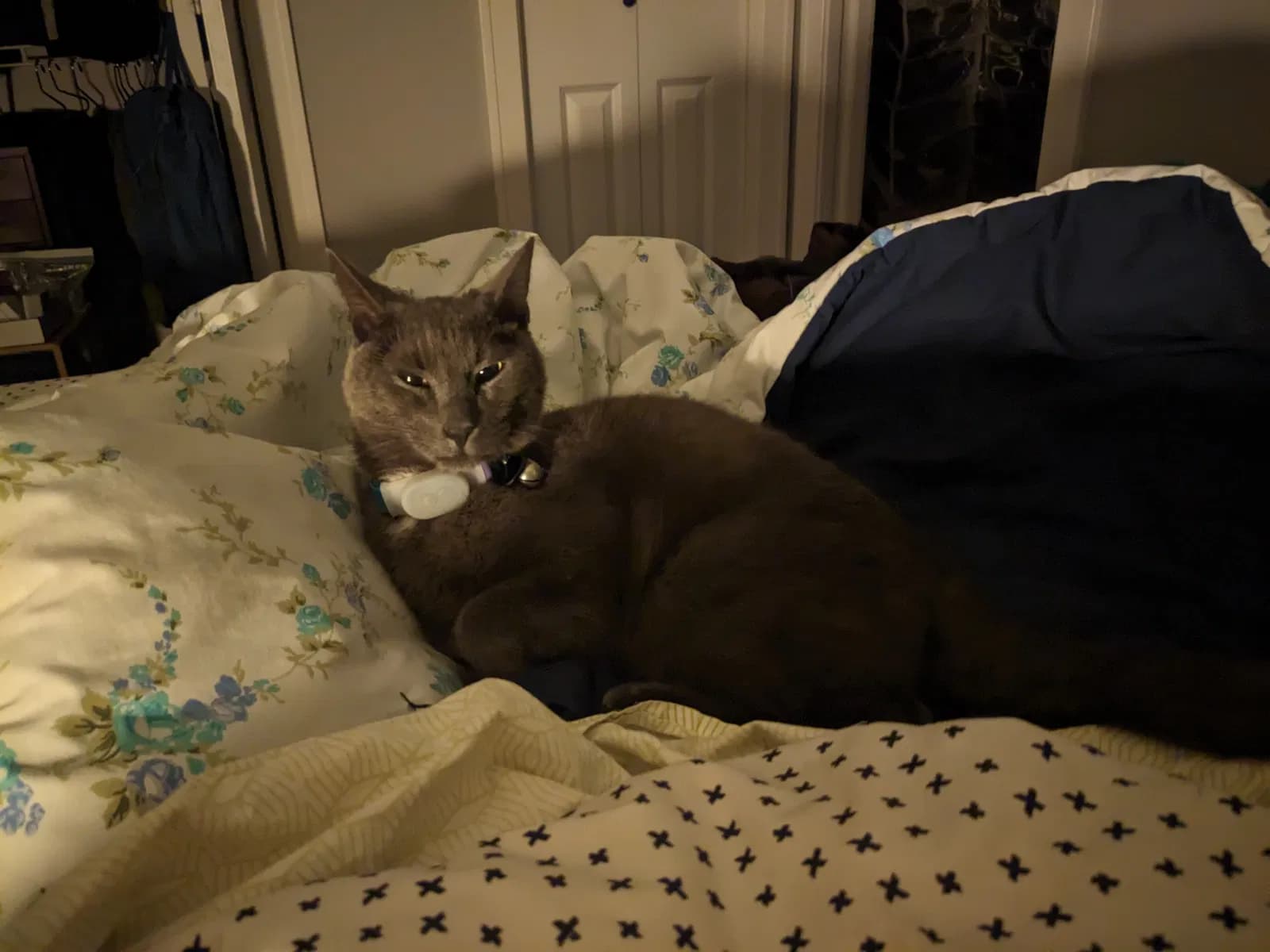 Mercury, back home in Minnesota