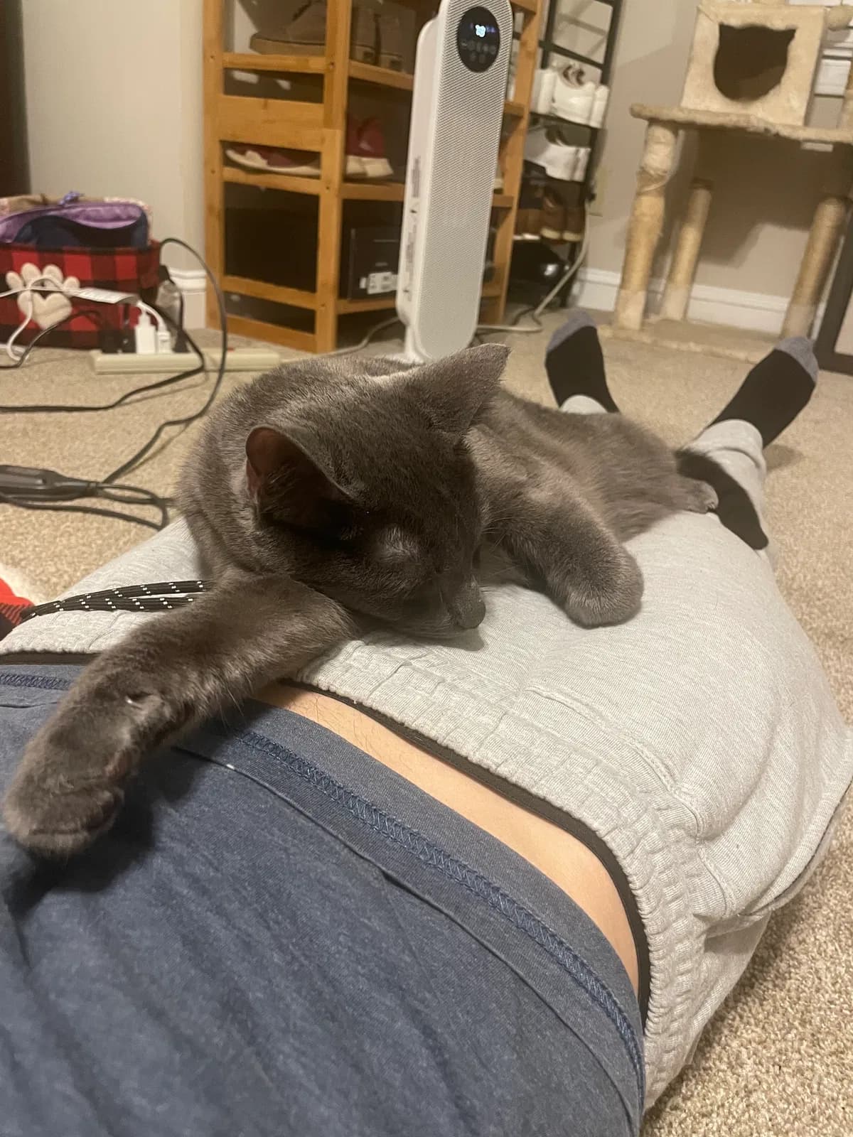 Baby, back home in Georgia