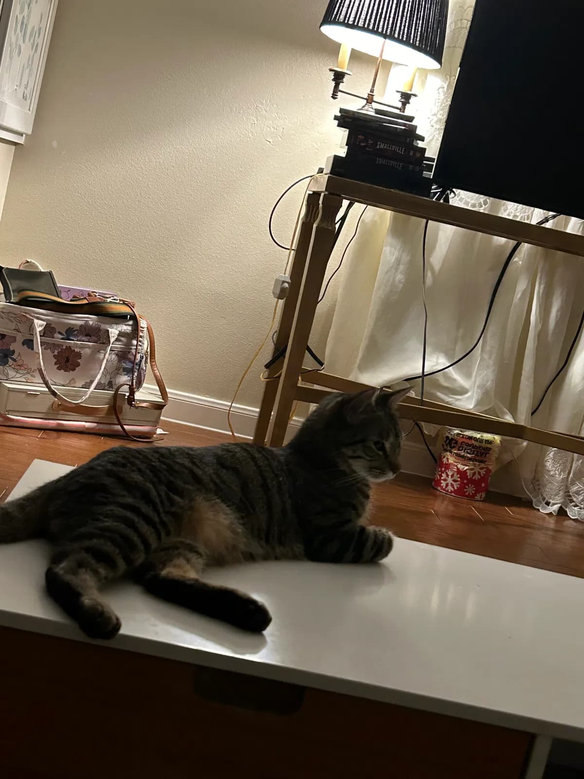 Giovanni, back home in Texas