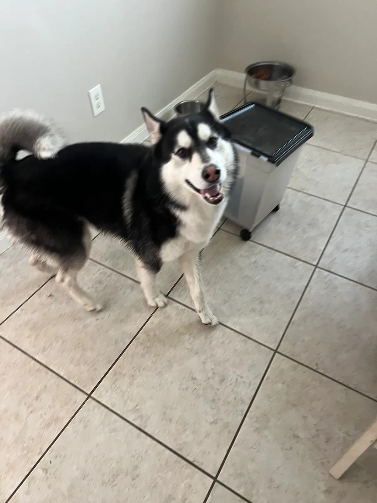Damon, back home in Texas