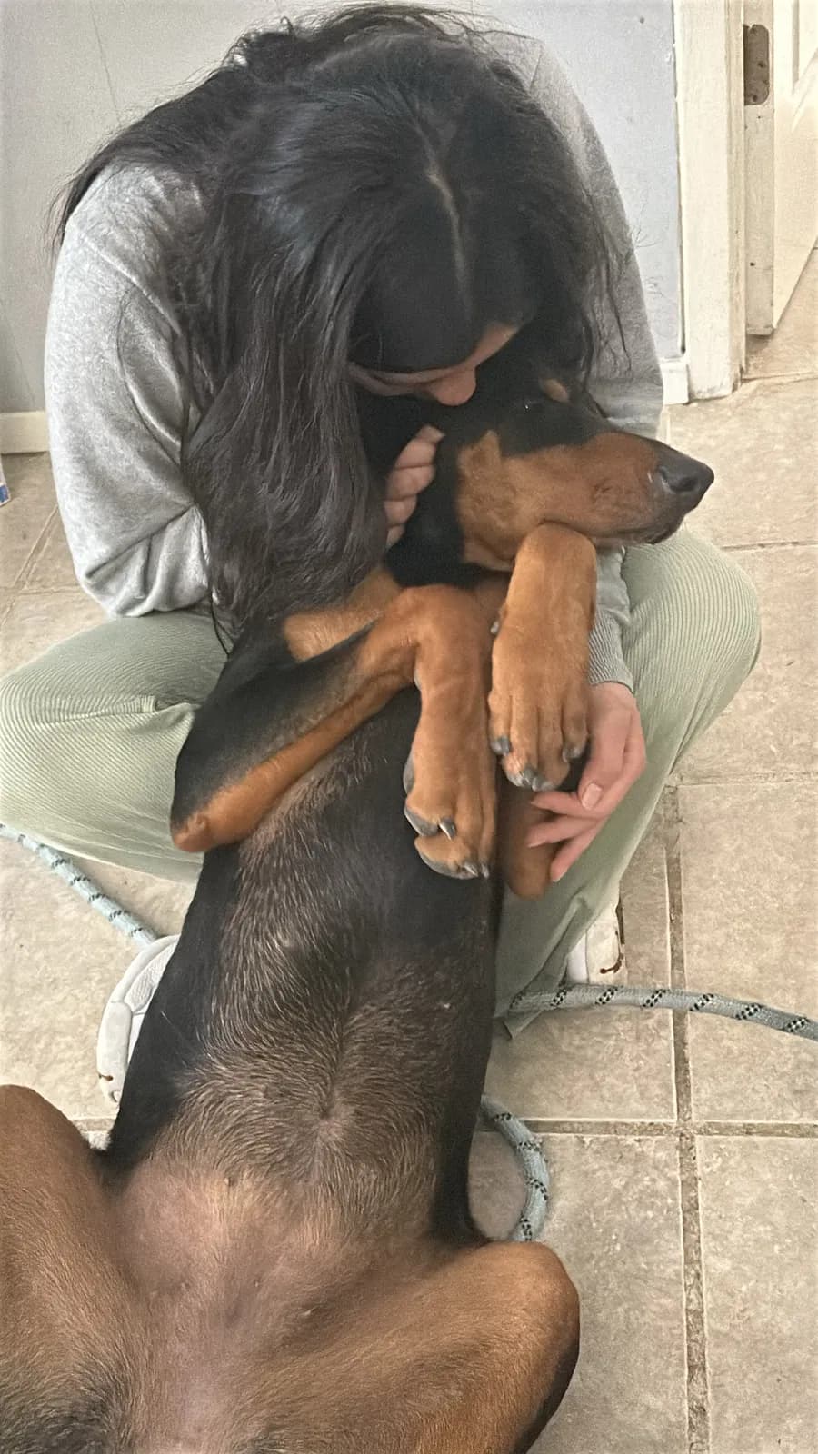 Storm, back home in Texas