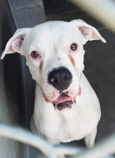 Nieves, back home in Phoenix AZ