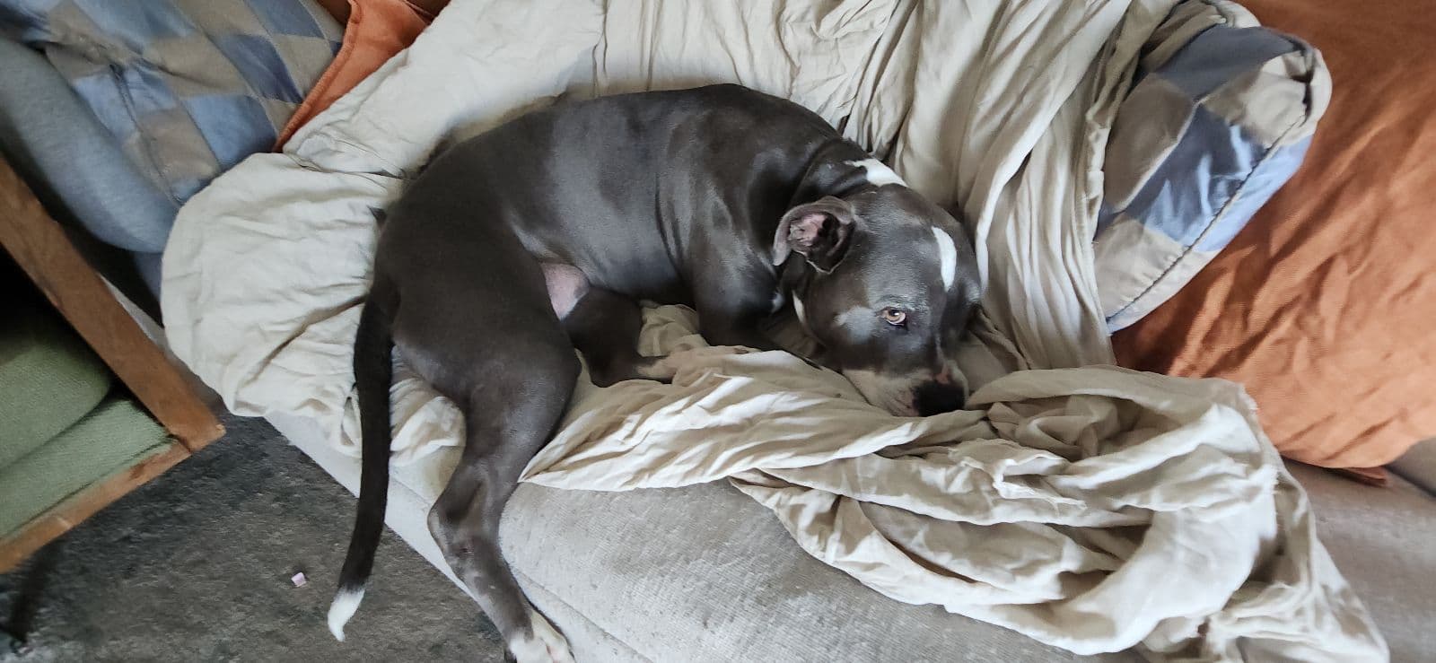 Ash, back home in California